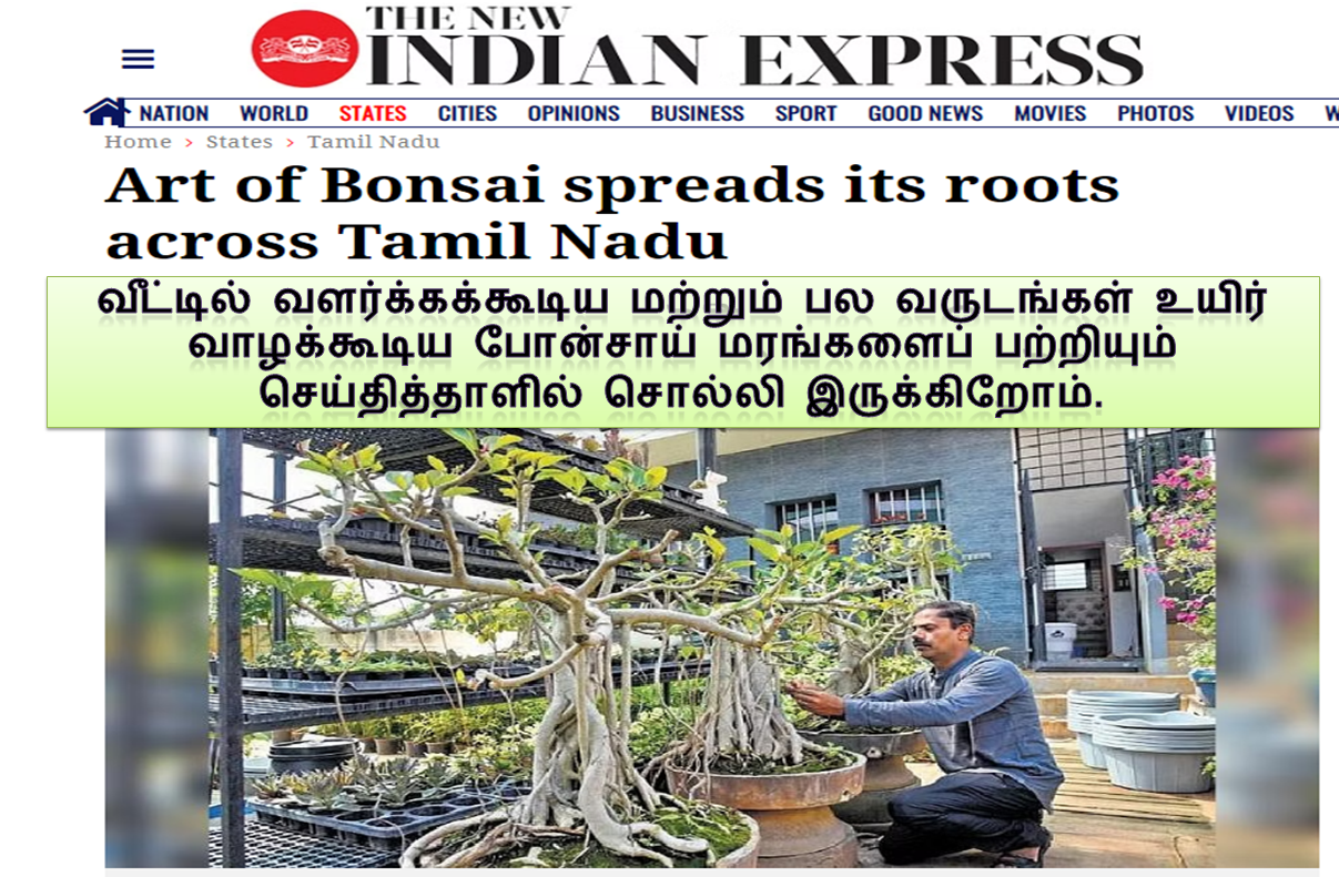 The New Indian Express article – Art of Bonsai spreads its roots across Tamil Nadu